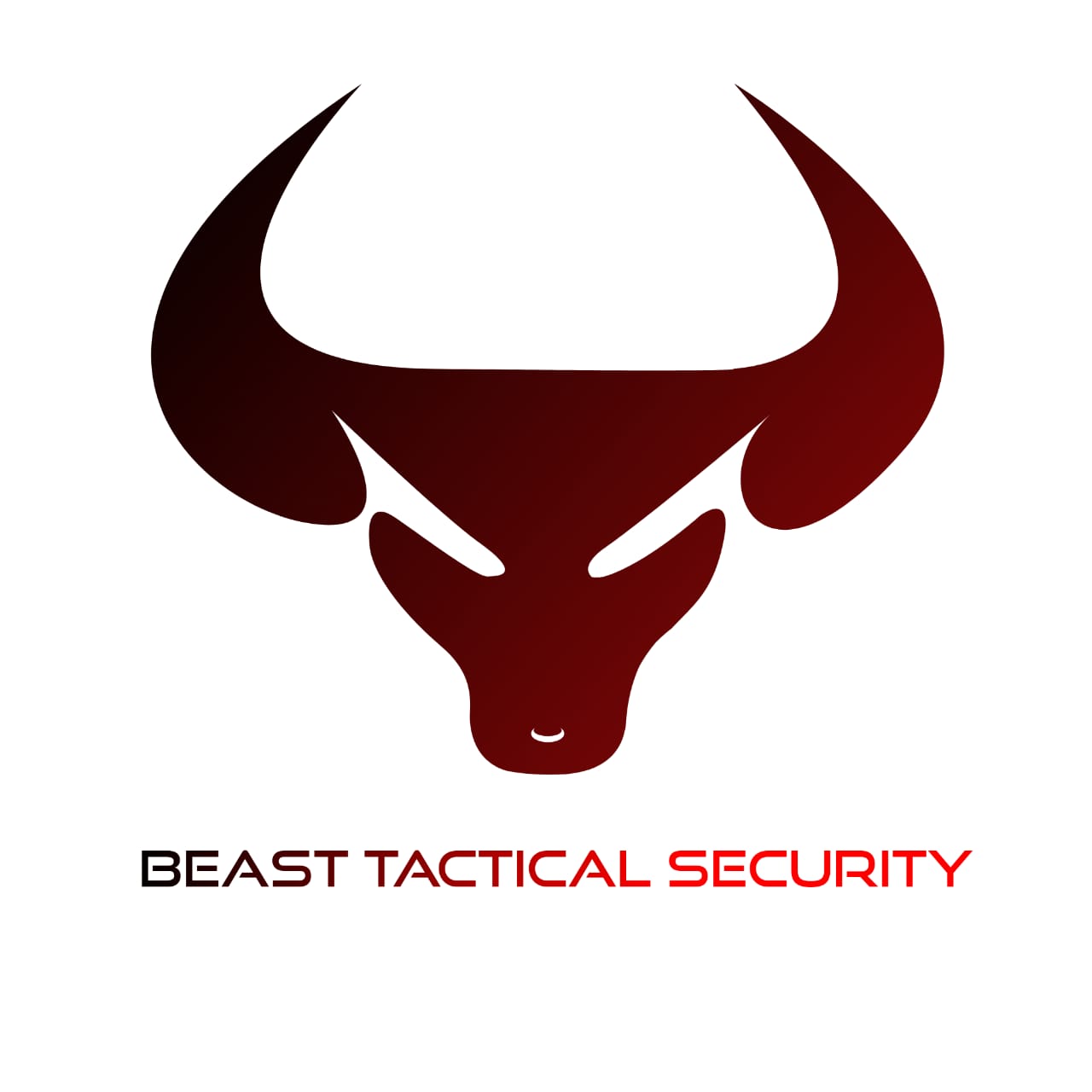 Beast Tactical Security